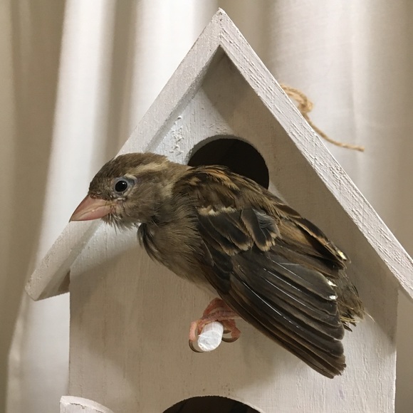 Aloha! from Miss Sea 🐚 in Hawaii 🏝🤙🏽 - Picture 11 of 12